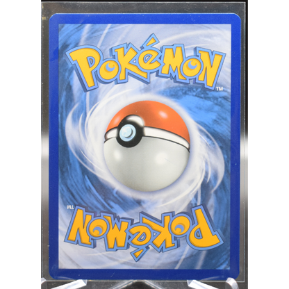 Arceus V - SWSH204 - SWSH: Sword & Shield Promo Cards (SWSD)