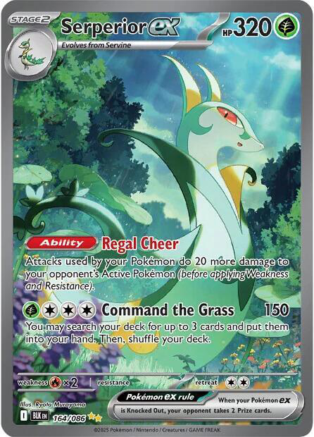 Serperior ex - 164/086 - SV: Black Bolt (BLK)